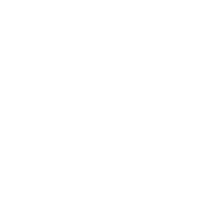 LEVI\'S